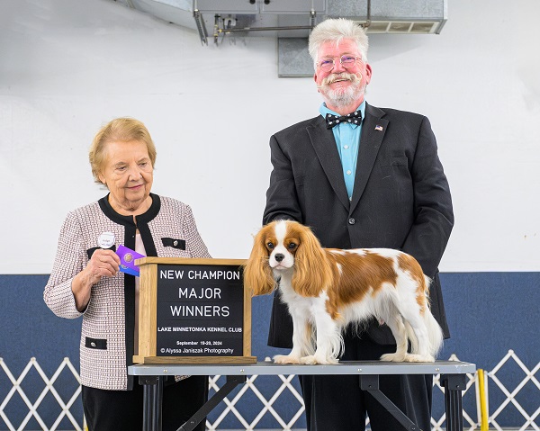  KingsMarq Cavalier King Charles Spaniels